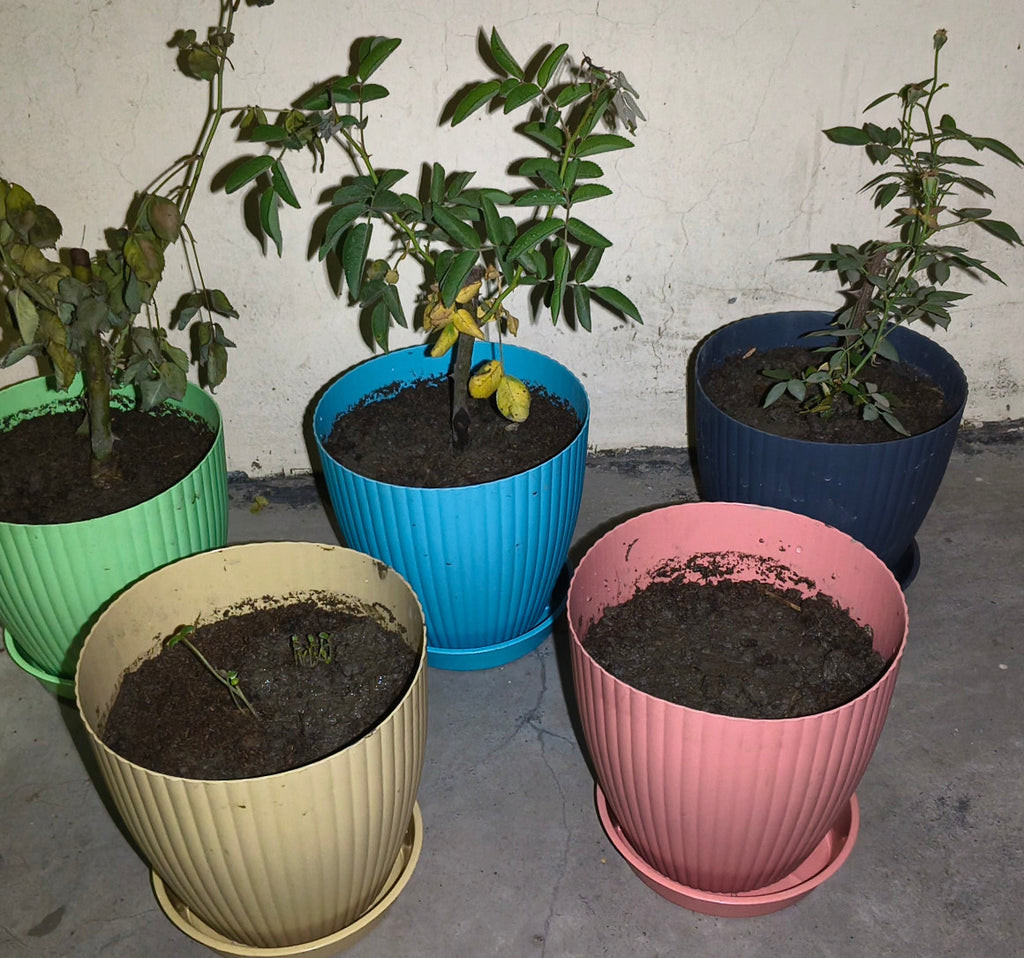 Plastic Round Flower Pots for Home Planters 5 pcs set Plastic Vase  (7 inch, Multicolor)